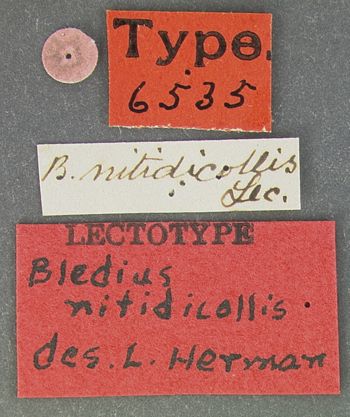 Media type: image;   Entomology 6535 Aspect: labels